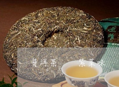 普洱茶  紫菜味/2023041019260